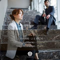Artjom Roditšenko & Darja Roditšenko: Clarinet Sonata in E-Flat Major No.2, Op. 120: I. Allegro Amabile - II. Allegro Appasionato - III. Andante Con Moto - Allegro