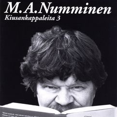 M.A. Numminen: Wovon man nicht sprechen kann
