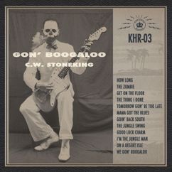 C.W. Stoneking: Goin' Back South