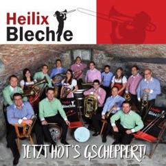 Heilix Blechle: Die Kapelle Hat Gewonnen (Polka)