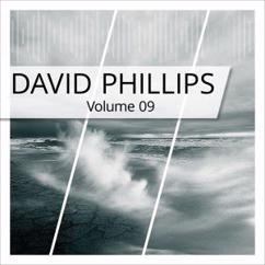 David Phillips: Flowers in the Rain