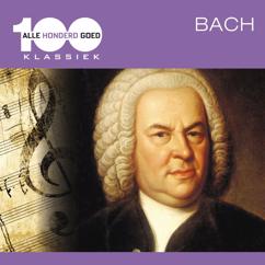 Pierre Hantaï: Bach, JS: Suite in E Minor, BWV 996: IV. Sarabande
