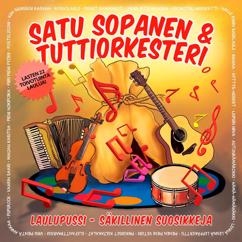 Satu Sopanen & Tuttiorkesteri: Nalle Puhin Sadelaulu