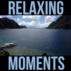 Various Artists: Relaxing Moments