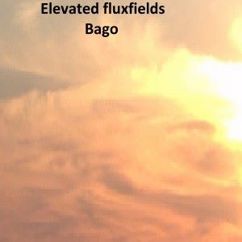 Elevated Fluxfields: Astronaut in Mirrors