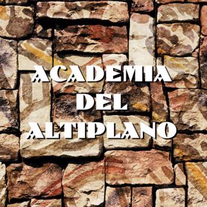 Trencito de los Andes: Academia del Altiplano