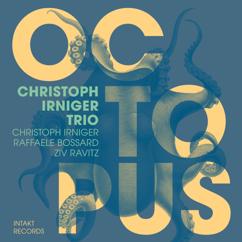Christoph Irniger Trio: Air