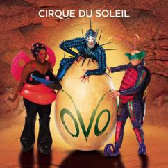 Cirque du Soleil: Parede