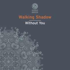 Walking Shadow: The Point