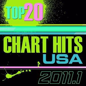 The CDM Chartbreakers: Top 20 Chart Hits 2011_1 USA