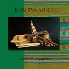 Kjashwa Andino: Platillo volador