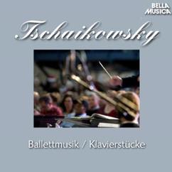 Bamberger Symphoniker, Janos Fürst: Ballettmusik für Orchester (aus "Obritschnik")