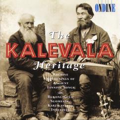 Various Artists: Vainamoisen polvenhaava (Vainamoinen's Wounded Knee)