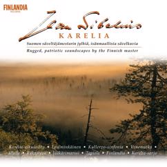 Eero Heinonen: Sibelius: 5 Esquisses, Op. 114: V. Spring Vision