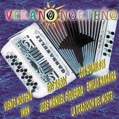 Various Artists: Verano Norteño