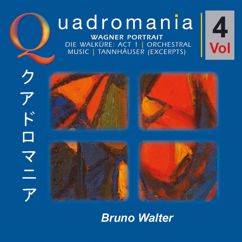 Bruno Walter, Lotte Lehmann, Lauritz Melchior, Emanuel List, Wiener Philharmoniker: Ich Weiß Ein Wildes Geschlecht