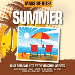 Shaggy, Rayvon: In The Summertime (feat. Rayvon)