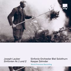 Kaspar Zehnder & Sinfonie Orchester Biel Solothurn: Lauber Sinfonie No. 2 in A-Moll: I. Adagio - Allegro moderato