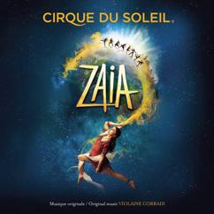 Cirque du Soleil: Aquilex