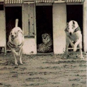 Chichee, DJ Pirata & DJ Cuba: First Time (Edit)