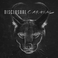 Disclosure: Nocturnal