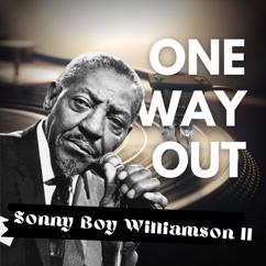 Sonny Boy Williamson II: Wake up Baby