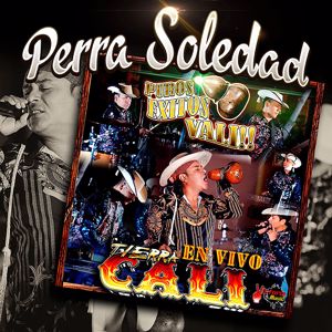 Tierra Cali: Perra Soledad (En Vivo)