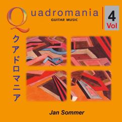 Jan Sommer, Per Dybro Sorensen: Sonata in B Minor, K 409