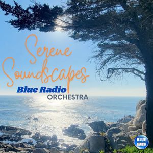 Blue Radio Orchestra: Serene Soundscapes