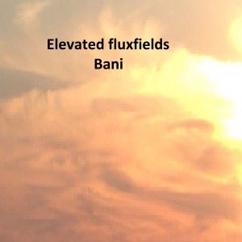 Elevated Fluxfields: Bani (Gate Version)