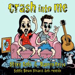 Steve Aoki & Darren Criss: Crash Into Me (Settle Down Steavis Aoki Remix)