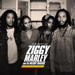 Ziggy Marley And The Melody Makers: Freedom Road