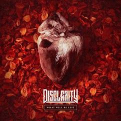 Disclarity: Last Song