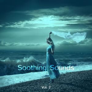 Various Artists: Soothing Sounds, Vol. 2