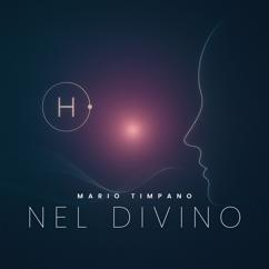 Mario Timpano: Nel Divino