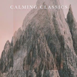 Various Artists: Calming Classics - No. 3
