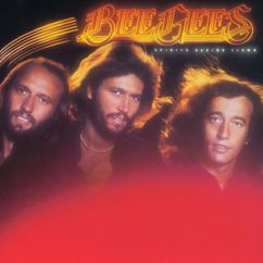 Bee Gees: Search, Find