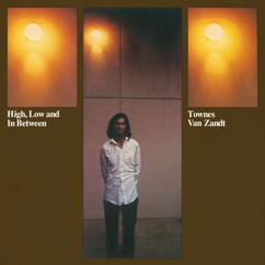 Townes Van Zandt: To Live Is To Fly