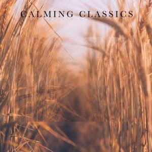 Various Artists: Calming Classics - No. 2