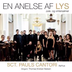 Sct. Pauls Cantori: Tre Madonnasange, Op. 65: I. Ave Maris Stella