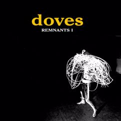 Doves: Ship Of Fools