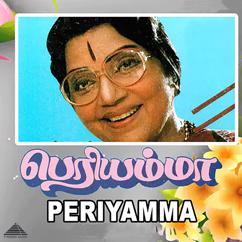 Ilaiyaraaja & Vaali: Periyamma (Original Motion Picture Soundtrack)