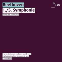 Gustav Kuhn & Haydn Orchester von Bozen und Trient: Symphonie No. 5 in C-Moll, Op. 67: III. Scherzo. Allegro
