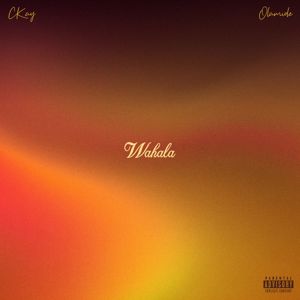 CKay, Olamide: Wahala (feat. Olamide)