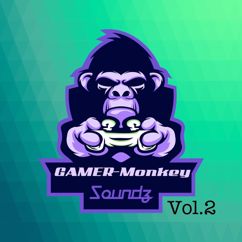 Gamer-Monkey Soundz: Old Matrix