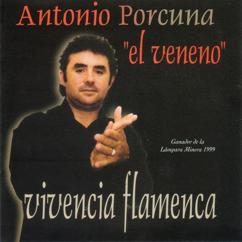Antonio Porcuna "El Veneno": No has comprendío (Malagüeña deCchacón, rondeña y fandango Frasquito Yerbagüena)
