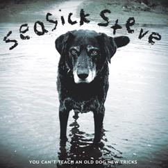 Seasick Steve: What A Way To Go
