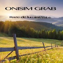 Onisim Grab: Daca esti decurajat