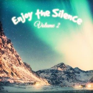 Various Artists: Enjoy the Silence, Vol. 2