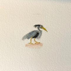 PIMSKIN: The Heron